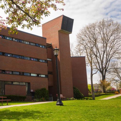 Transfer Students Springfield College